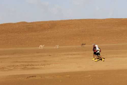 OMAN DESERT MARATHON | 165K 2014